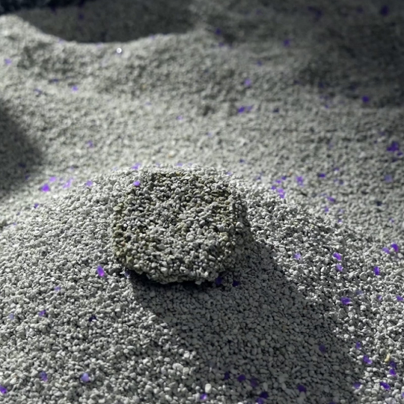 اختيار أفضل فضلات القطط المعدنية: نصائح عملية لمنزل أنظف